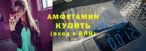 гидра Карпинск