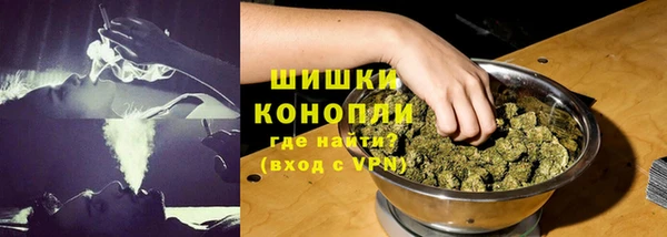 гидра Карпинск