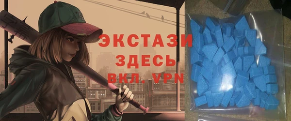 гидра Карпинск