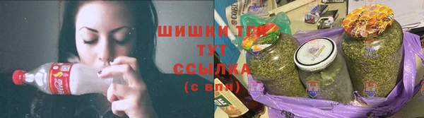 гидра Карпинск