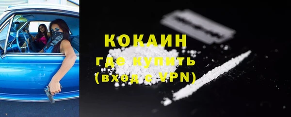 гидра Карпинск