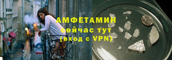 гидра Карпинск
