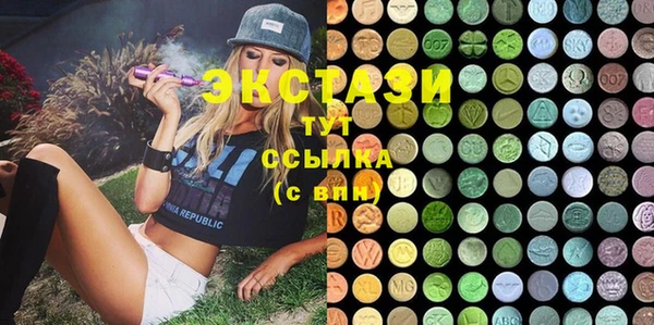 гидра Карпинск